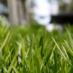 Les avantages écologiques du gazon synthétique